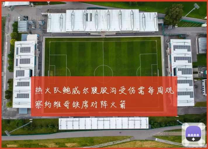 热火队鲍威尔腹股沟受伤需每周观察约维奇缺席对阵火箭